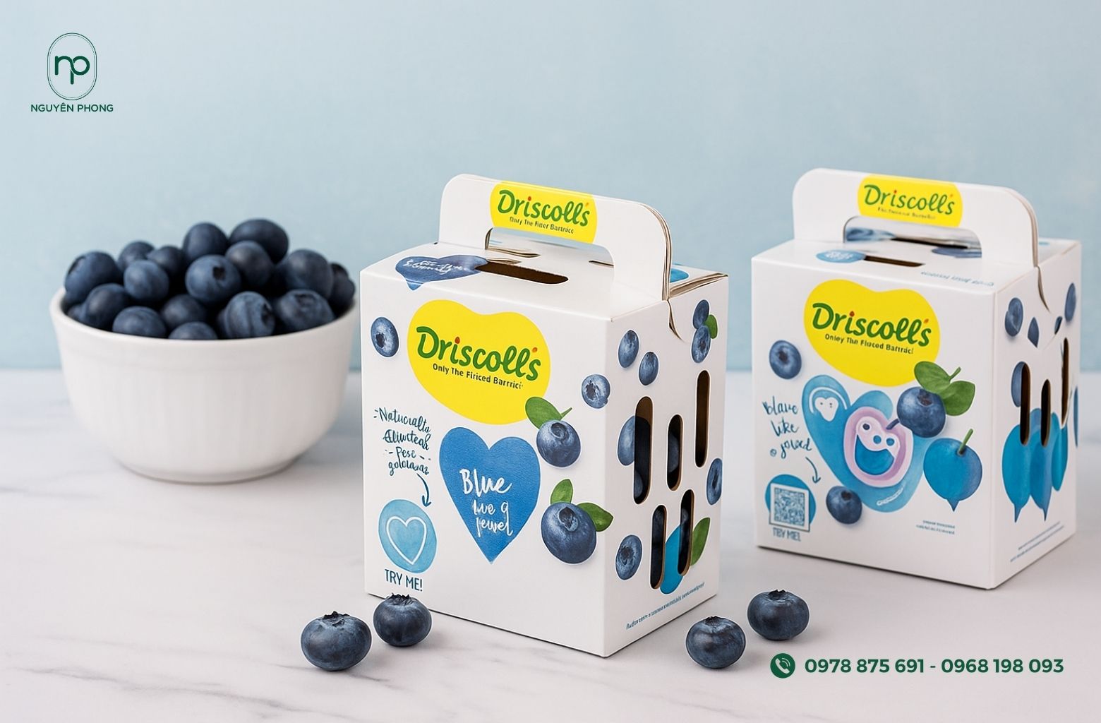 Thùng carton đựng việt quất sáng tạo